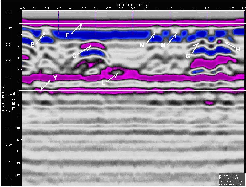 F3. Esempio di immagine radar acquisita in riflessone semplice (frequenza di 1000 MHz, polarizzazione E x, maturazione avvenuta, profilo orizzontale all. altezza di 50 cm da terra).