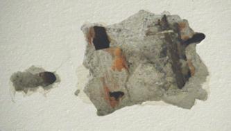 latero-cemento di spessore complessivo pari a circa 31,5 cm.