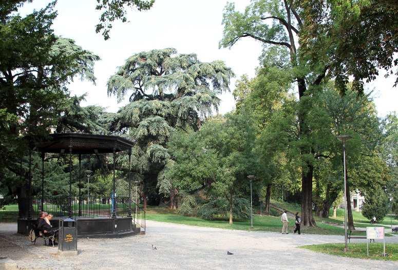 Premessa Definire e condividere, insieme ai cittadini, la rigenerazione -riorganizzazione -ristrutturazione delle Aree Verdi: "Giardini Margherita e Padre Gherardo.