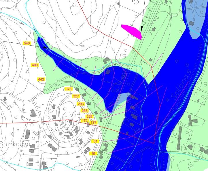 Figura 3 - Mappatura ricostruita nel Baccu Longu sulla base delle curve di livello estratte dal DTM 1 m della Regione Sardegna (equidistanza 1 m) 4 Confronto con il PSFF e mappatura finale L'ultimo