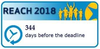 Oggi, 21 giugno 2017, mancano 344 giorni all ultima deadline di registrazione Compiti delle imprese: PRODUTTORI (IMPORTATORI)