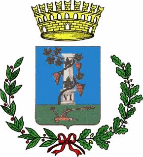 Provincia di Cagliari DELIBERAZIONE DELLA GIUNTA COMUNALE Numero 16 del 28.01.