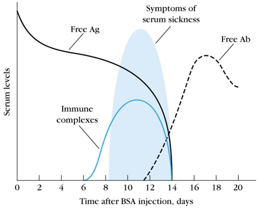 Ipersensibilità di III tipo sistemica: Malattia da Siero Reazione ad antigeni inoculati per via sistemica Formazione di ICC