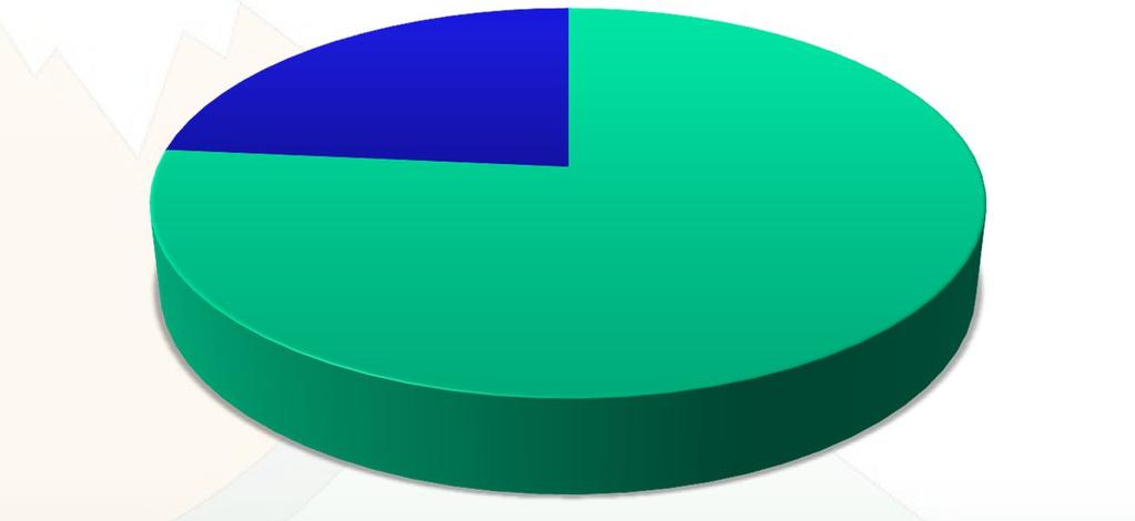 Domande di aiuto pervenute Domande di aiuto finanziate 91 68 16 I