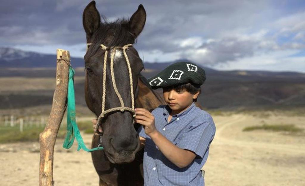 Carlito ha ricevuto a 10 anni, in regalo dal padre, un cavallo, uno straordinario