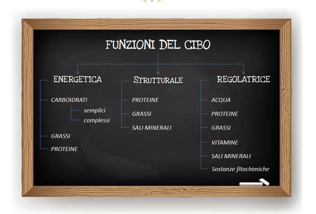 MACRONUTRIENTI (necessari in grandi quantità) MICRONUTRIENTI (necessari in piccole quantità) Carboidr ati Proteine Grassi acqua Vitamine Minerali Fibre Sostanze