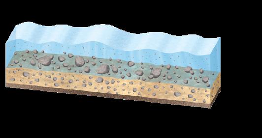 Sedimentazione In un liquido le particelle solide in sospensione, ad esempio sabbia o limo, si muovono sotto