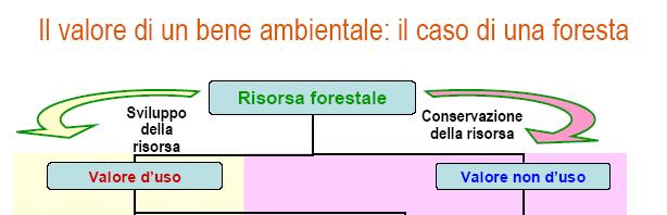 opportunità, idee non ancora messe in atto.