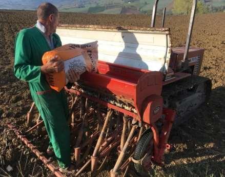 Di conseguenza, ad agosto è stata effettuata la lavorazione delle stoppie di Orzo, e parte del campo è stato successivamente lavorato e preparato per la semina dell