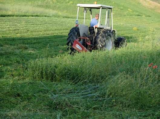 Data 1 taglio 19/06/2018 sfalcio 23/06/2018 imballato fieno SALA MANDELLI -Azienda Dallanoce Pierluigi Peso superficie Biomassa fresca umidità Biomassa secca q m 2 q ha -1 % q ha -1 ZONA AC 22,97