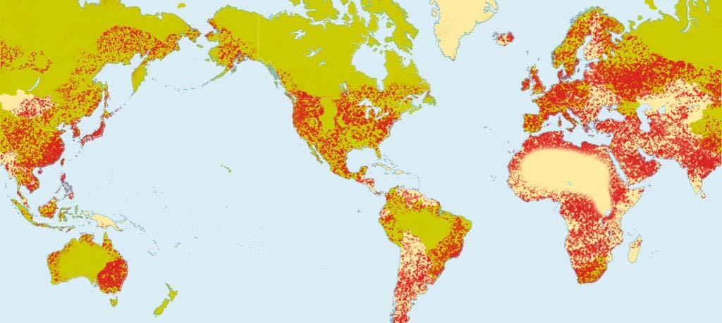 1500 persone in 21 centri nel mondo Symantec Response Labs Symantec Monitored Countries Brightmail Logistic Op. Ctr.