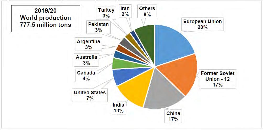 10 Major changes in wheat production in 2019/20 Note: Year-over-year (YoY) changes are in bold under the country name; 2019/20 output