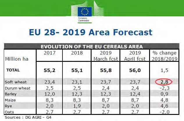 Alla base della revisione al rialzo delle previsioni sulla campagna 2019-2020 ci sono, spiega l USDA, le abbondanti e inattese precipitazioni primaverili che hanno ribaltato il quadro meteo, dopo un