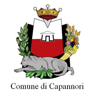 COMUNE DI CAPANNORI Numero di Pratica / SEGNALAZIONE CERTIFICATA DI INIZIO ATTIVITÀ Modifiche degli impianti di distribuzione carburante ai sensi del comma 1 e 2 dell Art. 57 della L.R. 28/2005 e s.