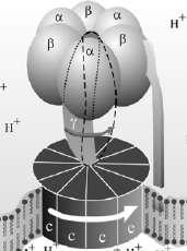 1 mm 100 µm Microwave