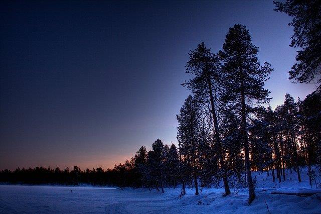 motoslitta (2 persone per motoslitta) 2 serate di osservazione delle autore boreali nei campi previsti a questo scopo Abbigliamento invernale fornito Servizi di guida durante tutto il soggiorno Date