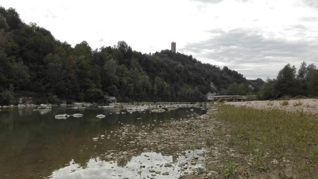 dell alveo del Fiume Tanaro a monte dello sbarramento Studio