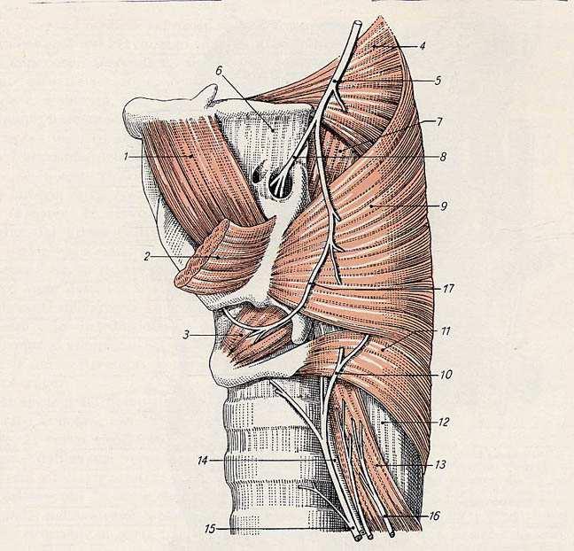 INNERVAZIONE