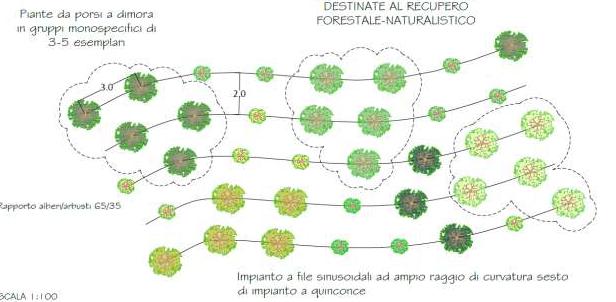 natura dei terreni, della pendenza e dell