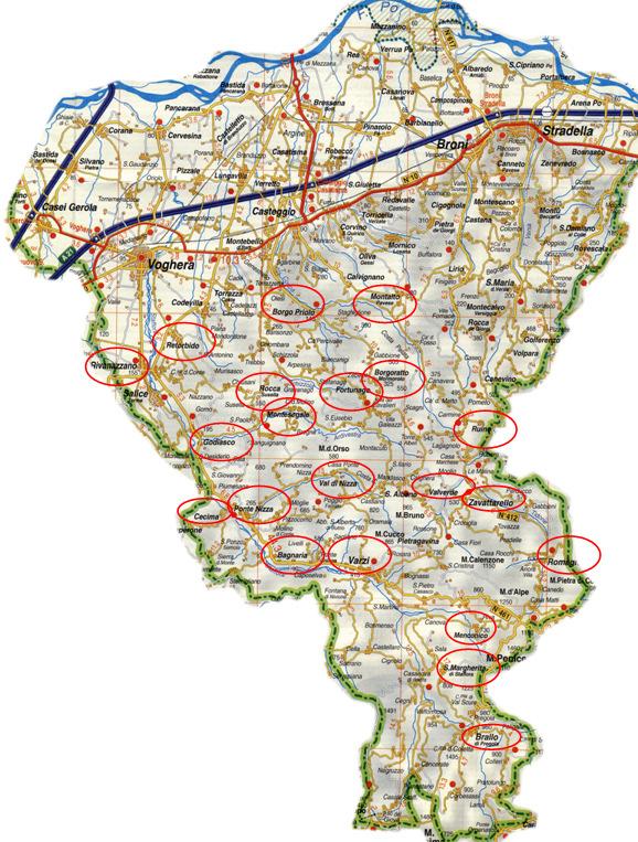 Attivita Svolte Analisi del territorio, andamento demografico, studio analitico dei dati ORSO Valutazione degli andamenti di produzione totale e mensile dei