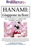 HANAMI: Giappone in fiore DAL 23 MARZO AL 3 APRILE GIORNI / 10 NOTTI
