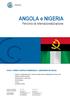 ANGOLA e NIGERIA Percorso di internazionalizzazione