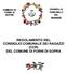 REGOLAMENTO DEL CONSIGLIO COMUNALE DEI RAGAZZI (CCR) DEL COMUNE DI FORNI DI SOPRA