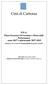 Città di Carbonia. P.E.G. Piano Esecutivo di Gestione e Piano delle Performance anno 2017 e pluriennale