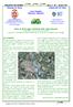 Newsletter del CeMAV Anno 3 - N. 1 - marzo 2010 Comune di Pavia. Centro Regionale Educazione Ambientale