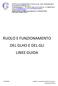 RUOLO E FUNZIONAMENTO DEL GLHO E DEL GLI LINEE GUIDA