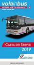 volainbus CARTA DEI SERVIZI AUTOBUS NAVETTA AEROPORTO Airport Shuttle Bus SERVIZIO AUTORIZZATO