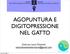 AGOPUNTURA E DIGITOPRESSIONE NEL GATTO