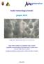 Analisi meteorologica mensile. giugno giugno 2019 Mammatus sopra Trento (archivio meteotrentino)