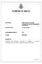 COMUNE DI SESTU SETTORE : Affari Generali, Appalti, Contenzioso, Servizi Demografici ed Elettorali Licheri Sandra. Responsabile: DETERMINAZIONE N.
