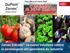 Troisi Marco 27 marzo Zorvec Enicade :la nuova soluzione contro la peronospora del pomodoro da industria