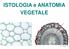 ISTOLOGIA e ANATOMIA VEGETALE