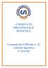 COMITATO PROVINCIALE POTENZA. Comunicato Ufficiale n. 12 Attività Sportiva CALCIO