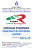 CONI - FIPAV FEDERAZIONE ITALIANA PALLAVOLO CIRCOLARE D INDIZIONE CAMPIONATI DI CATEGORIA. Stagione Agonistica