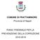 COMUNE DI FRATTAMINORE Provincia di Napoli