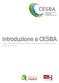 Introduzione a CESBA. CESBA Un Iniziativa Collettiva per una Nuova Cultura Europea dell Ambiente Costruito. Riassunto della Guida CESBA