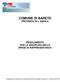 COMUNE DI BARETE PROVINCIA DI L AQUILA REGOLAMENTO PER LA DISCIPLINA DELLE SPESE DI RAPPRESENTANZA