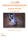 TREKKING IN MADAGASCAR: le perle del Sud