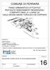 COMUNE DI FERRARA. PIANO URBANISTICO ATTUATIVO PER NUOVI INSEDIAMENTI RESIDENZIALI COMPARTI 5ANS_01 e 5ANS_03 VIALE DAVIDE MARIA TUROLDO-VIA COPPARO