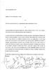 4. ASSENTEISMO A /I JJJ :/l <. t.,d Premesso che: P la regolamentazione qui convenuta in relazione al monitoraggio, ai fini di un miglioramento, dell'