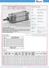 DIN ISO CYLINDERS - PROFILED Ø32-125