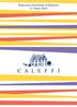 CALEFFI S.p.A. Via Belfiore, Viadana (MN) - Cap. Sociale i.v.