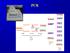 RT-PCR. (retrotrascrizione)