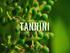 Si parla di tannino nativo riferendosi a quello dell'uva e di tannino neoformato in riferimento a quello del vino.