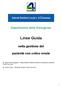 Dipartimento delle Emergenze. Linee Guida. nella gestione del. paziente con colica renale