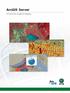 ArcGIS. Server. Un Server GIS completo e integrato